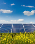 Solar Farming Panels